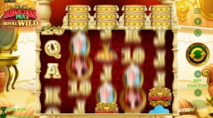 Princess, Pea And Royal Wild demo play free 2