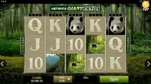Untamed Giant Panda demo play free 1