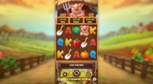 Pig Farm demo play free