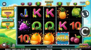 Reel Fruitz Frenzy! demo play free 0