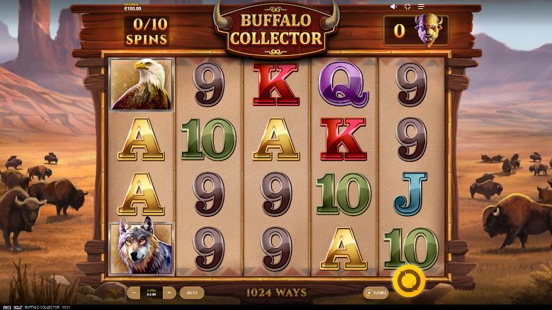 Buffalo Collector