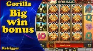 Gorilla max win video 2