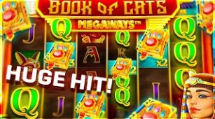 Book Of Cats Megaways max win video 0