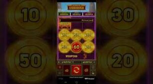 9 Lions Hold The Jackpot max win video 0