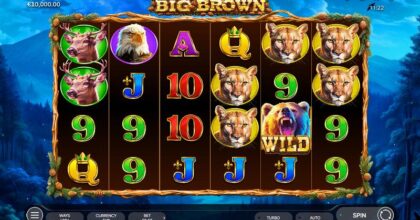 Big Brown