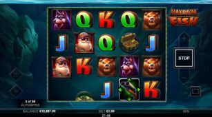 Maximum Fish demo play free 1