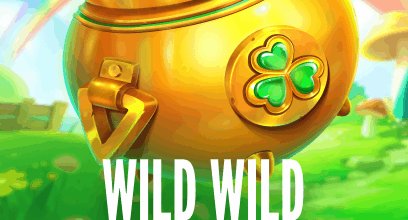 wild wild riches returns