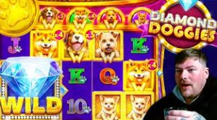 Diamond Doggies max win video 1