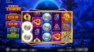 Moon Tiger demo play free 3