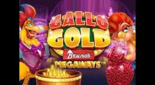 Gallo Gold Bruno’s Megaways max win video 0