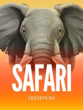 Safari