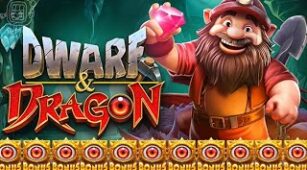 Dwarf & Dragon max win video 1