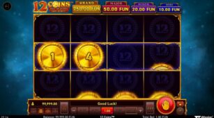 12 Coins demo play free 0