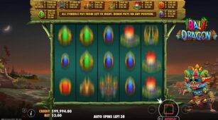 Bali Dragon demo play free 2