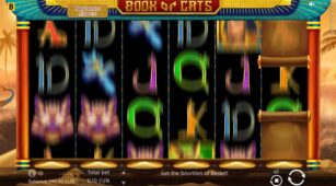 Book Of Cats demo play free 0