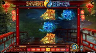 Double Tigers demo play free 0