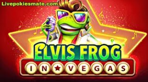 Elvis Frog In Vegas max win video 0