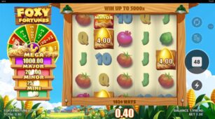 Foxy Fortunes demo play free 1