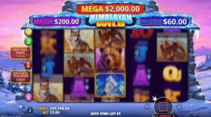 Himalayan Wild demo play free 0
