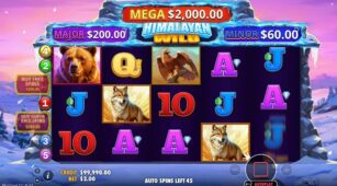 Himalayan Wild demo play free 2
