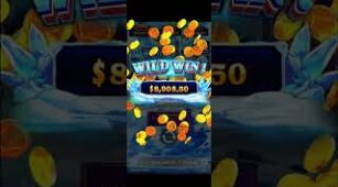 Hokkaido Wolf max win video 1