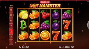 Hot Hamster demo play free 1