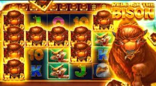 Release The Bison max win video 1