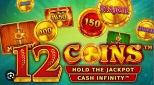 12 Coins max win video 0