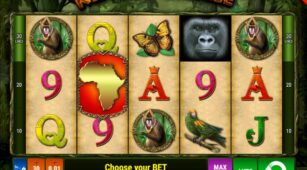 King Of The Jungle demo play free 0