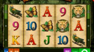 King Of The Jungle demo play free 2