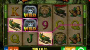 King Of The Jungle demo play free 3