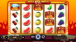 Mega Wild Fruits – On Fire demo play free 3