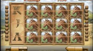 Mongol Treasure max win video 0