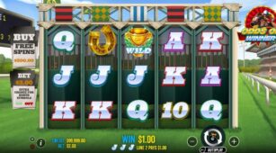 Odds On Winner demo play free 0