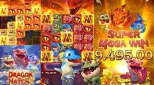 Dragon Hatch 2 max win video 1