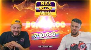 Licence To Squirrel max win video 2