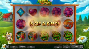 Rabbits Rabbits Rabbits demo play free 3