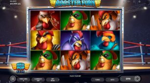 Rooster Fury demo play free 3