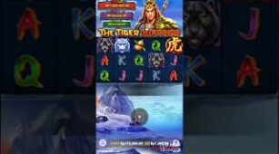 The Tiger Warrior max win video 0