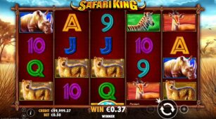 Safari King demo play free 1