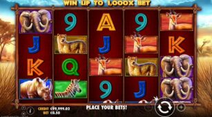 Safari King demo play free 2