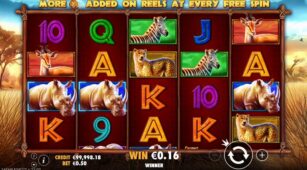 Safari King demo play free 3