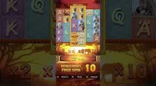 Safari Wilds max win video 0
