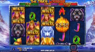 The Tiger Warrior demo play free 2