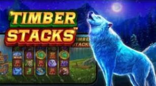Timber Stacks max win video 2