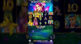 Wild Pixies max win video 1