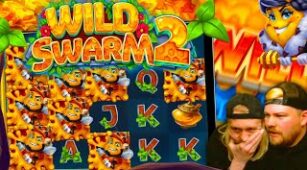 Wild Swarm 2 max win video 2