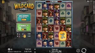 Wild Card Gang demo play free 0