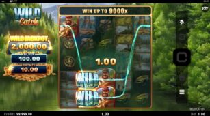 Wild Catch demo play free 0