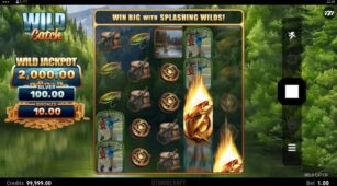 Wild Catch demo play free 3